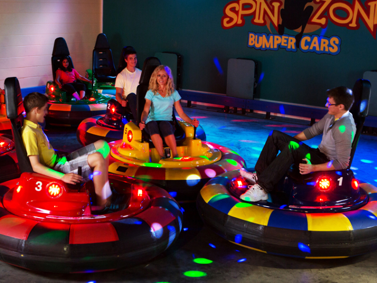 Bumper Cars Safari Trampoline