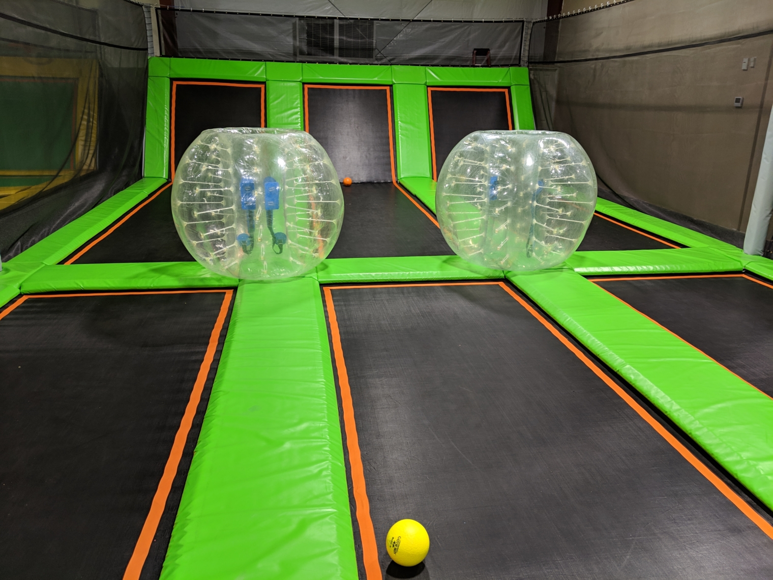 Dodge Ball Safari Trampoline